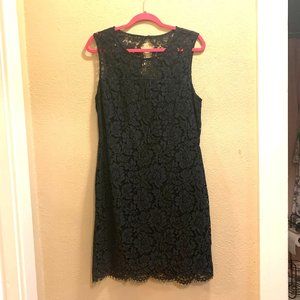 Navy and Black Banana Republic Dress